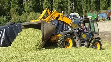 Maize Harvest 2019 - On the Pit Buckraking with JCB 536 & NEW 6155R unloads