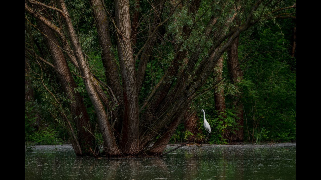 Rétközi-tó, a nyugalom szigete
