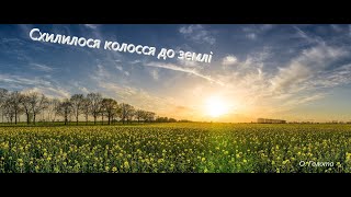 Video thumbnail of "Схилилося колосся до землі (укр) - Христианские песни - 15"