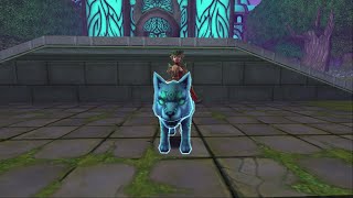 Information Wizard101 Evergreen Bundle Guide