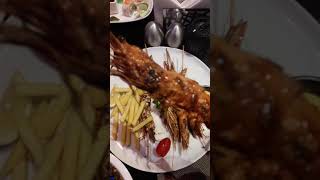 Marsaai مرساي Marsaaiksa Twitter