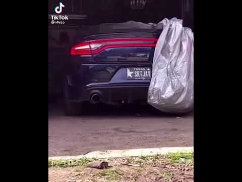 طرب دودج تشارجر هيلكات 