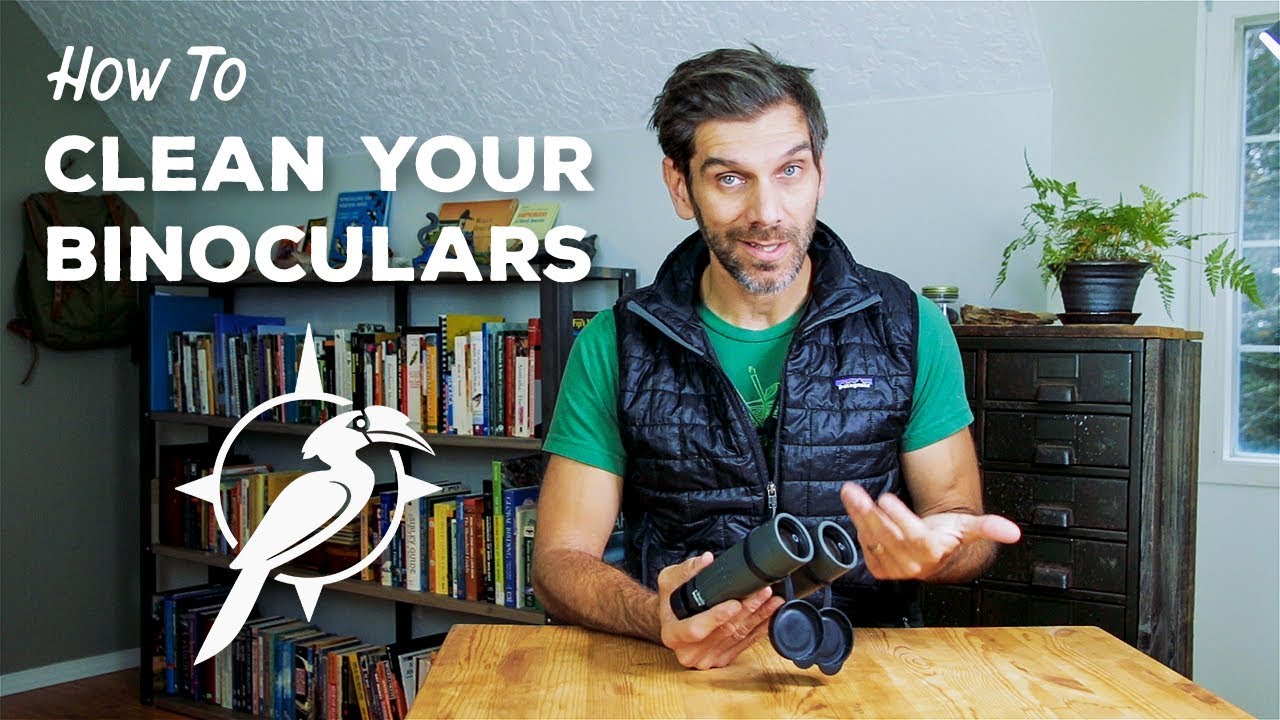 How Do You Clean the Inside of Your Binoculars? 