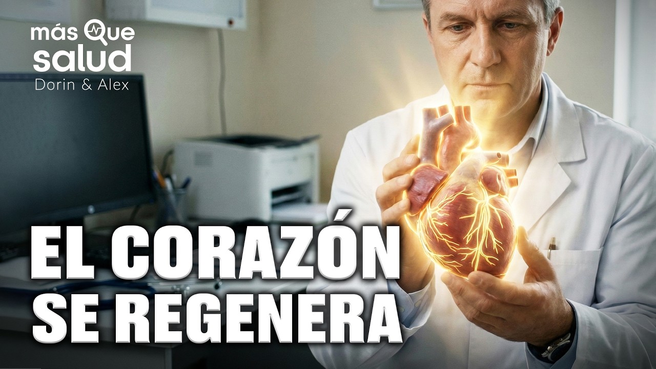 El corazón puede regenerarse después de un infarto: Estudio