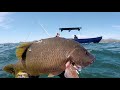 Pesca Submarina En Costa Rica///Spearfishing Costa Rica