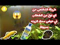 طريقة التخلص من اي نوع من الطحالب في حوض سمك الزينه بسهولة