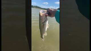 Thankful To Be Able To Do What I Love Here In The Great State Of Texas.