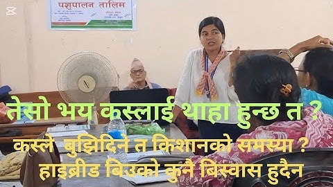 के हाईब्रीड मकैको बीउ भरपर्दो  हुदैन त ? एउटै प्याकेज कुनै फल्ने कुनै नफल्ने ।#new#youtubevideo#seed