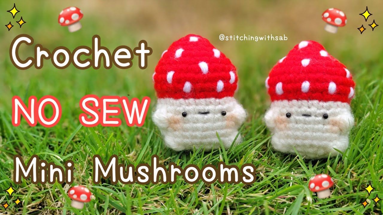 NEW Mini Crochet Kit, Mr. Mushroom Man