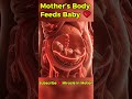 How Mother&rsquo;s Body Supports Her Baby❤️Blood Flow &amp; Placenta Connection #shorts #miracleinmotion#baby