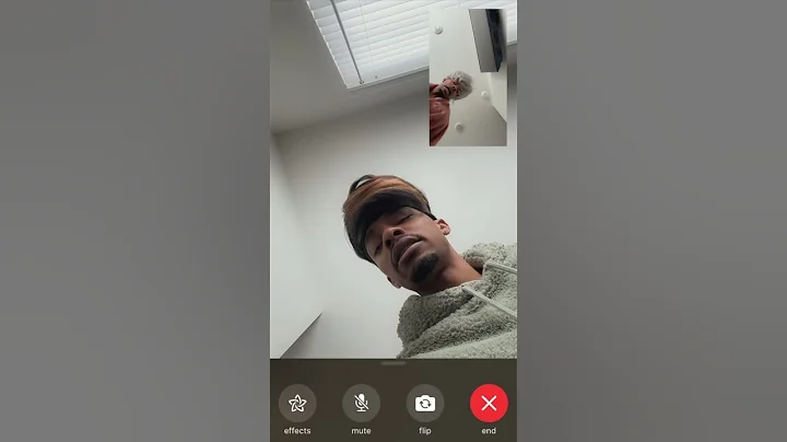 Having Adult Friends