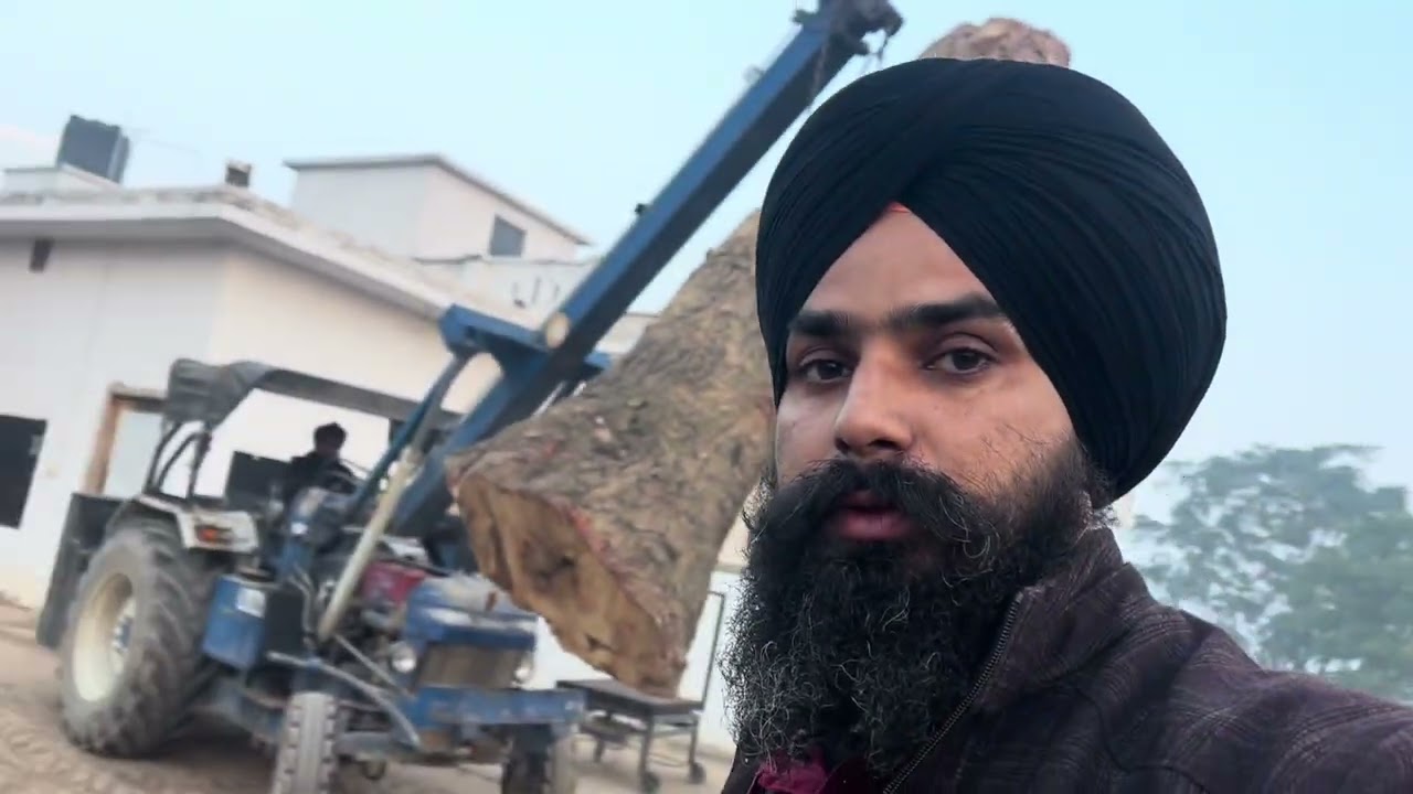 Daily Wood Mill Work Routine | How I Cut & Process Wood Every Day