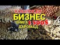 УЗБда БИЗНЕС ГОЯ ойига 1500$ ТОПАСИЗ 100% гарантия