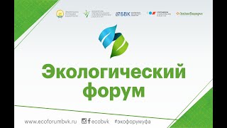 «Школа общественных экологических инспекторов: опыт, практика, перспективы»