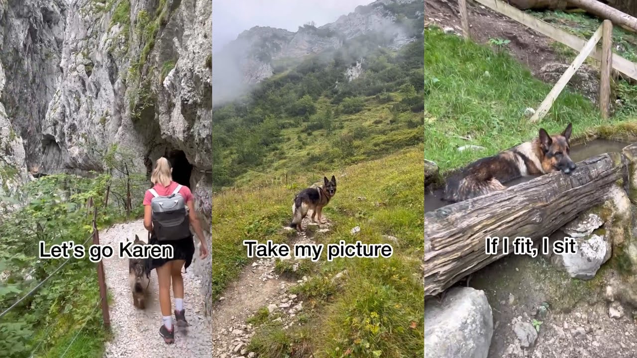 Beautiful Hike In Bavaria With My German Shepherd