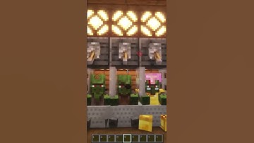 Easiest Multi-Villager Curing Station!