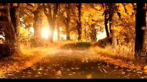 سورة التغابن كاملة للمبدع طارق محمد ☺🌸