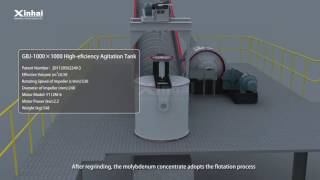 Flotation Workshop in Yantai Dingsheng Molybdenum Tungsten 1000T/D Plant, Xinhai