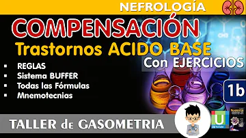 ¿Cómo compensan los pulmones la acidosis?