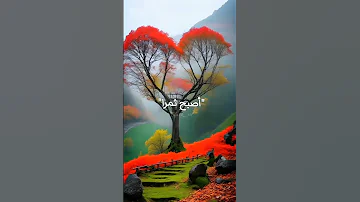 يا أجمل زهرة يا أعظم شجرة 