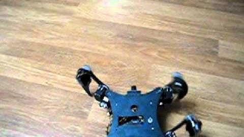 C.A.T. Quadruped Wide Angle Collision Avoidance