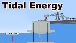 Tidal energy | Class 10 | Geography | ICSE Board | Home Revise screenshot 4