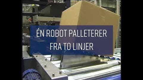 Robot palletizer solution for pet food in bags - VPG