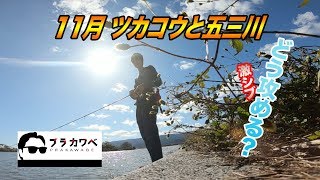 3.5”HEART TAIL (3.5”ハートテール) | 製品情報 | ゲーリー