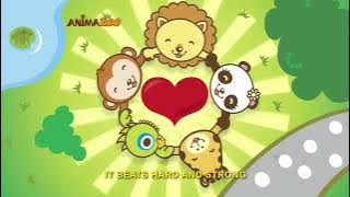 The Sound of the Heart (baby heart) - Música Infantil Educativa em Inglês - Animazoo Oficial