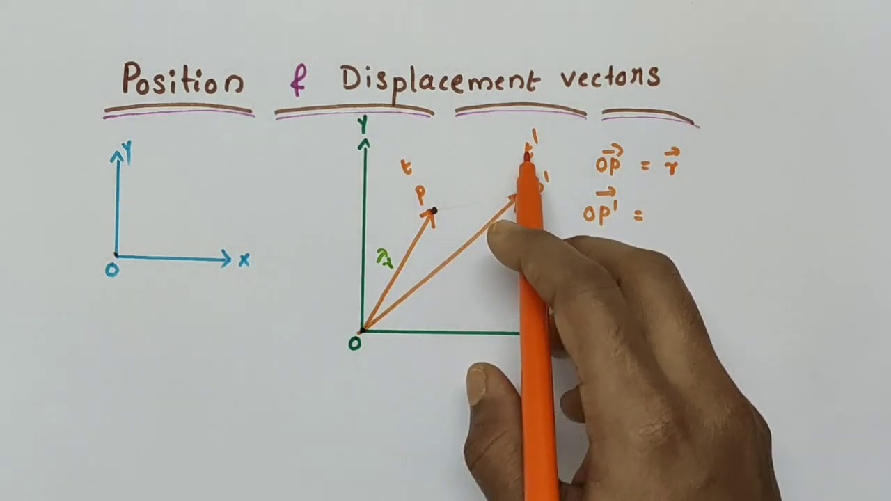 vector assignment class 11