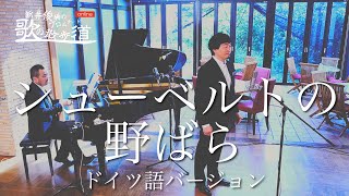 シューベルトの野ばら ドイツ語 作詞 J W ゲーテ 作曲 F シューベルト 新井俊稀 歌のプロムナード Online Youtube