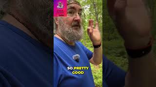 Exploring Lush Green Woods After Rain: A Peaceful Walk #shorts