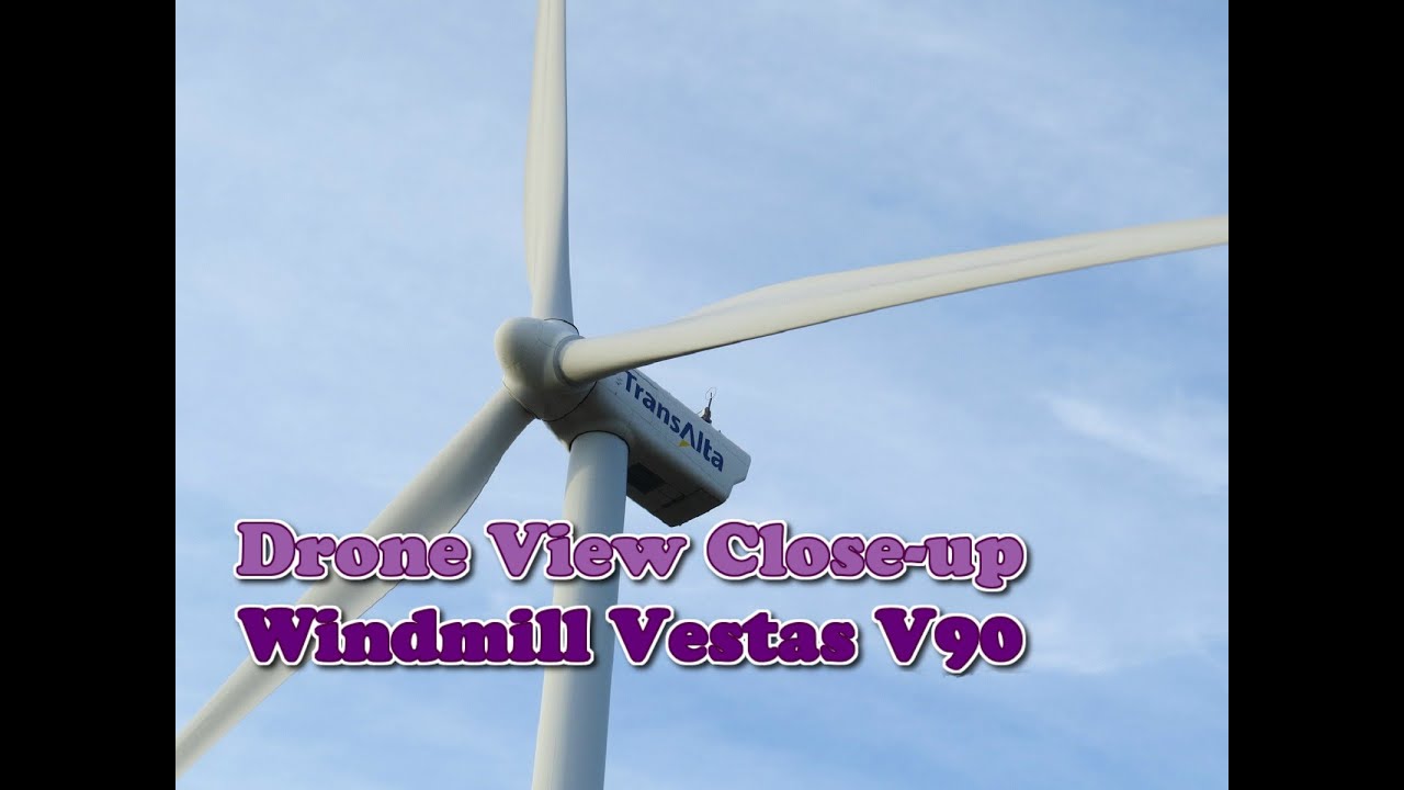 mustard greens Wind Mill Farm