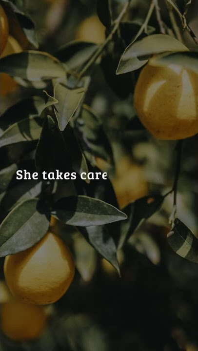 Lemonade - Jeremy Passion