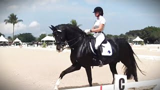 Kaiman Places 2nd at Adequan Global Dressage Festival 9 in March 2024