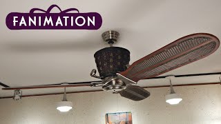Fanimation Treventi Ceiling Fan