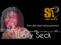 Wally seck en live gambia 2erjoury y ndeye gnewenawallyseck festivalsamaartis