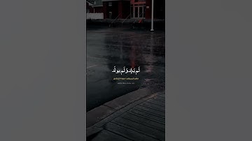 ماهر المعيقلي | سورة الإخلاص