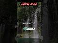 Rasool e kareem ne farmaya islamic whatsapp status hadeesislamicshorthobby day