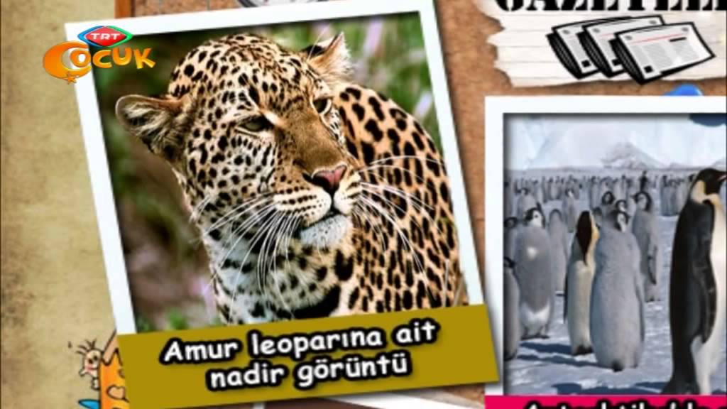 31 Aralık 2013 Haberin Olsun Programı