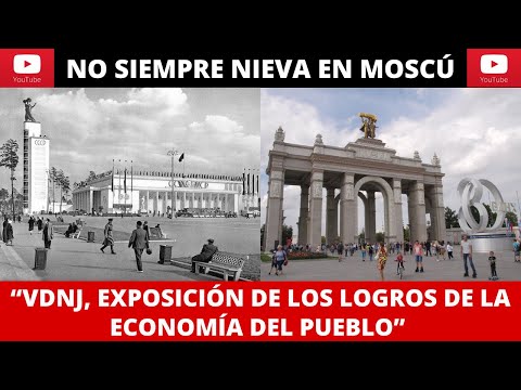 Video: Exposición-feria 