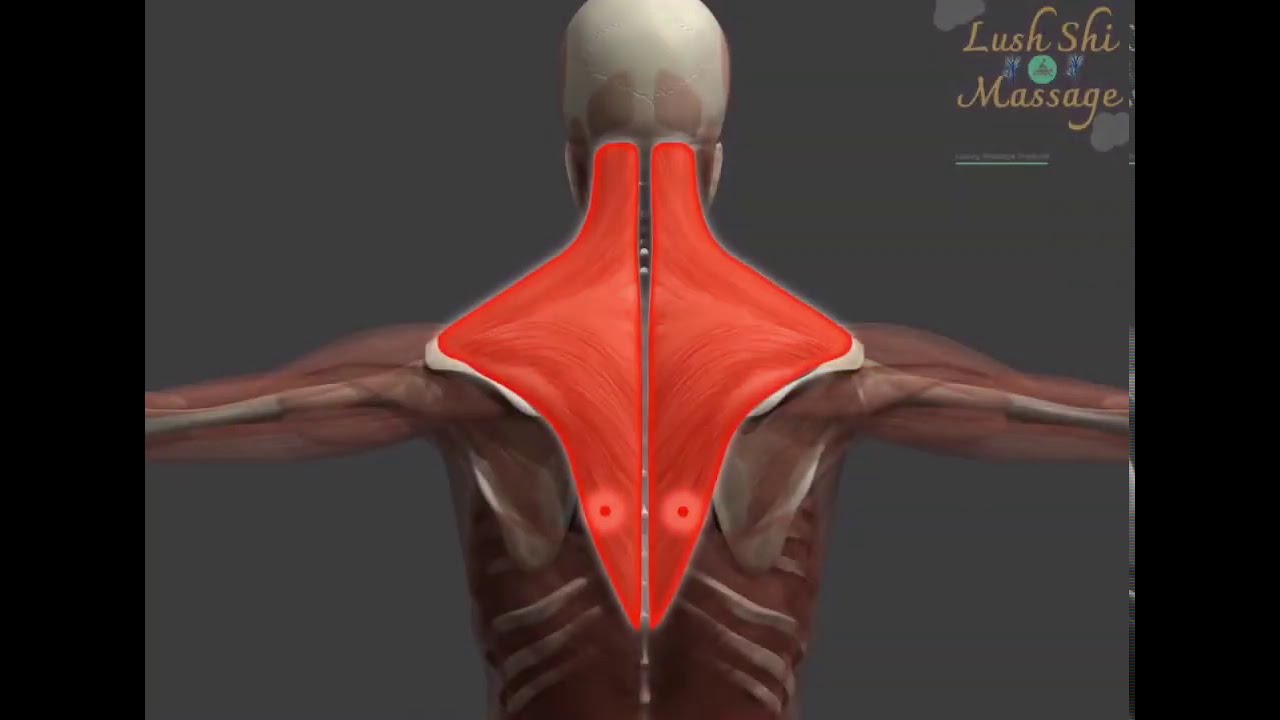 Lehiko Gun- Powerful high powered deep tissue massage gun