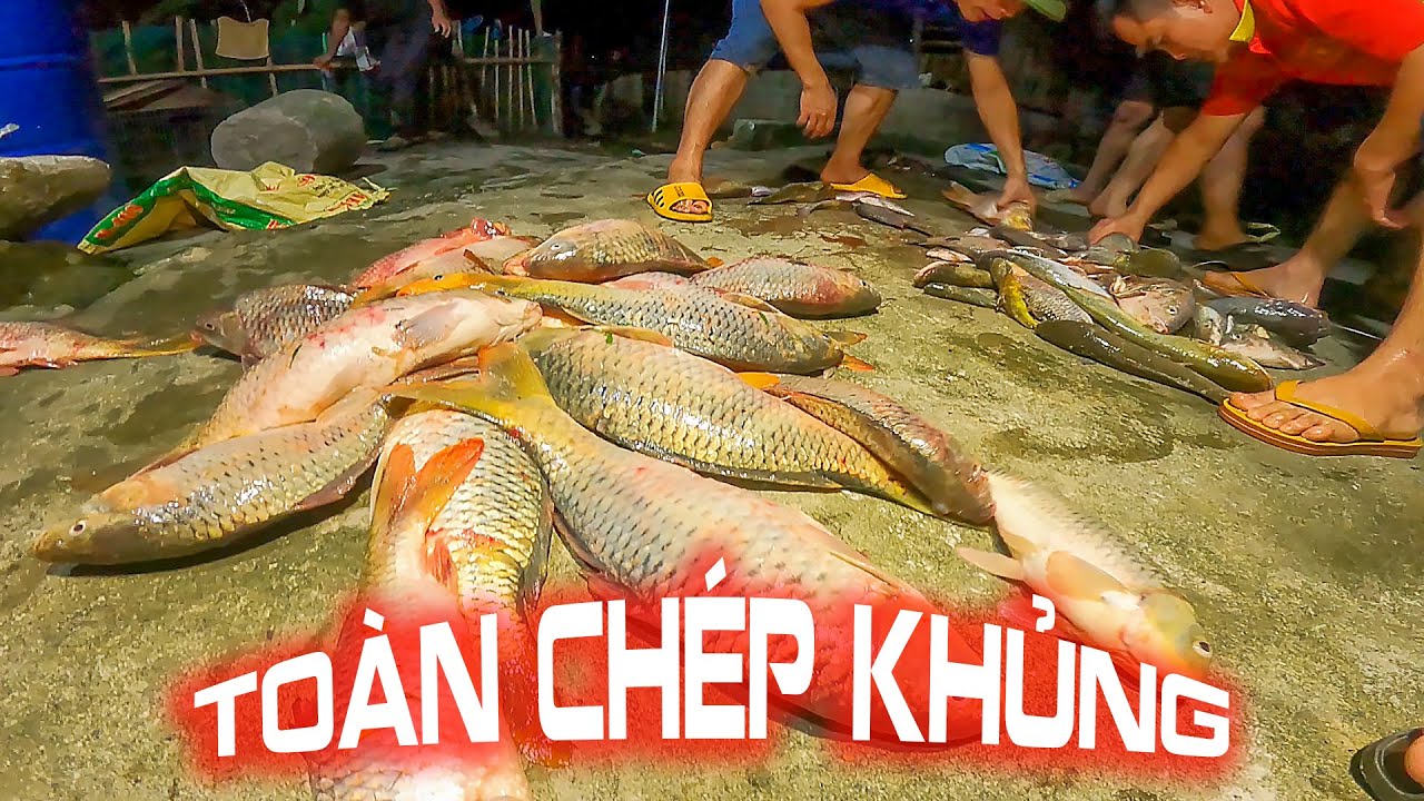 Cách Bắt Cá Cổ Xưa Mà Vớ Toàn Chép Khủng - LTL Food - youtube