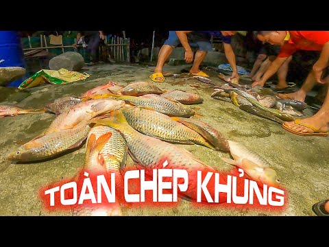Video Cách Bắt Cá Cổ Xưa Mà Vớ Toàn Chép Khủng - LTL Food - youtube