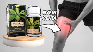 DAUN DEWA Obat Herbal Nyeri Sendi \u0026 Rematik