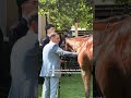 How Racehorses beat the heat 🌡️🐎