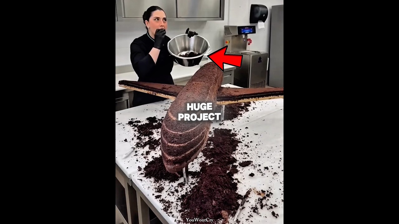 She had one day to turn cake and chocolate into a full airline model and she did it ❤️