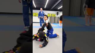 Dojo life captured