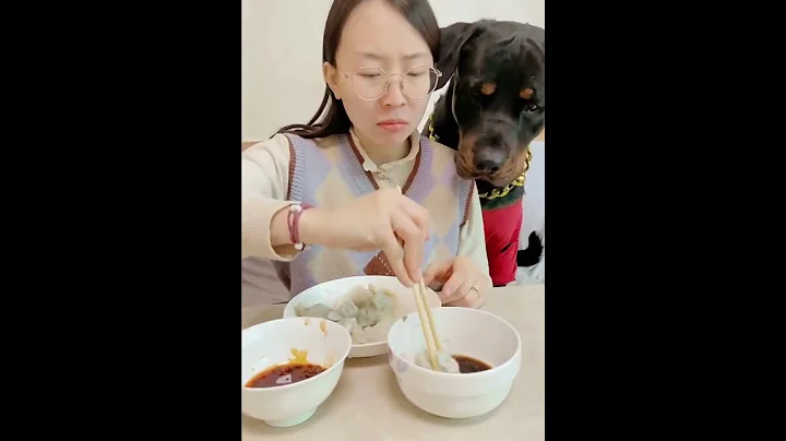 《一坨》餃子對於狗來說真的太香了😂一坨羅威納犬 - 天天要聞