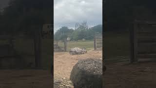 IMG 0483